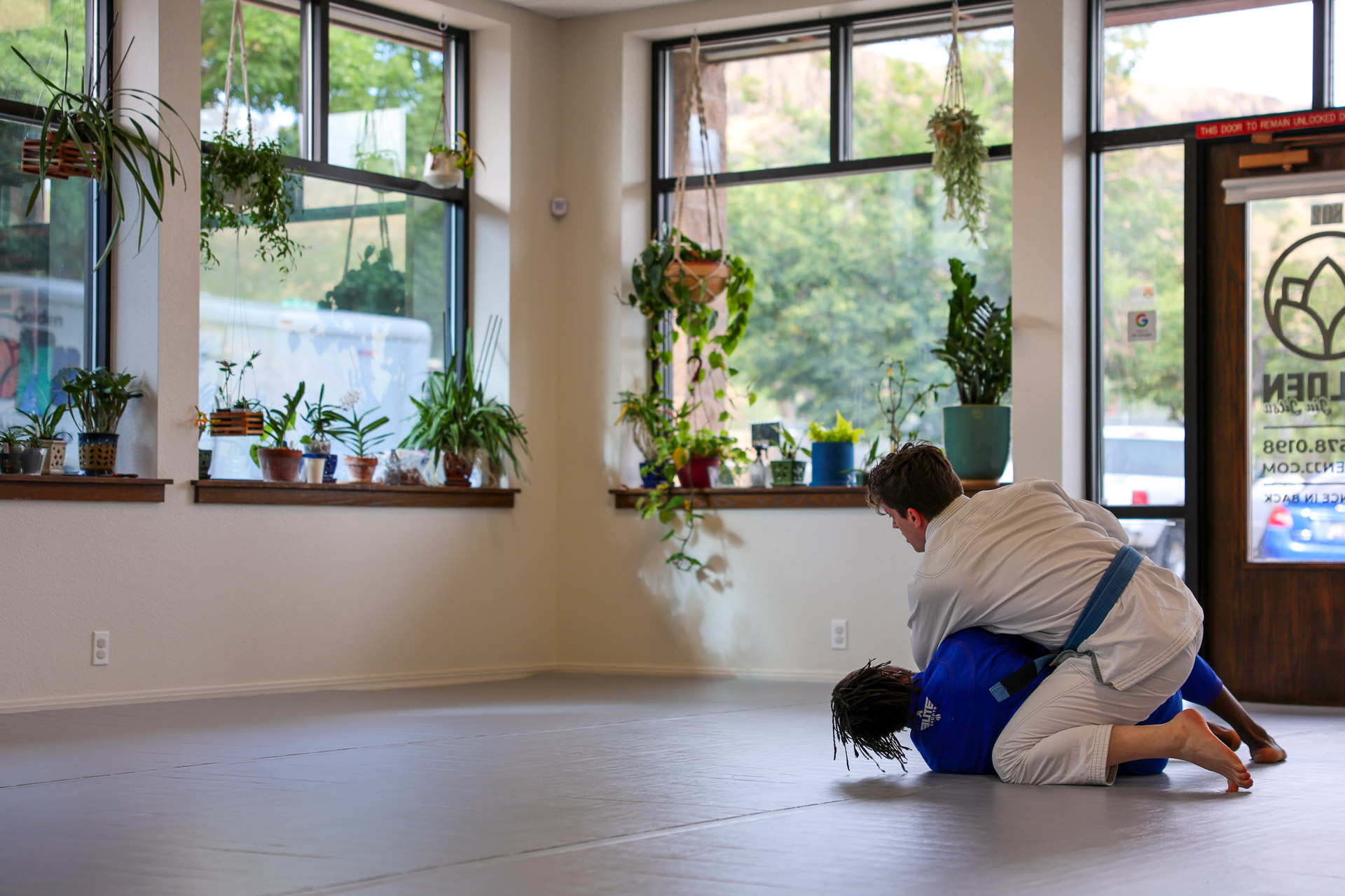 Two members rolling in gi by the plant-lined corner windows at Golden Jiu Jitsu