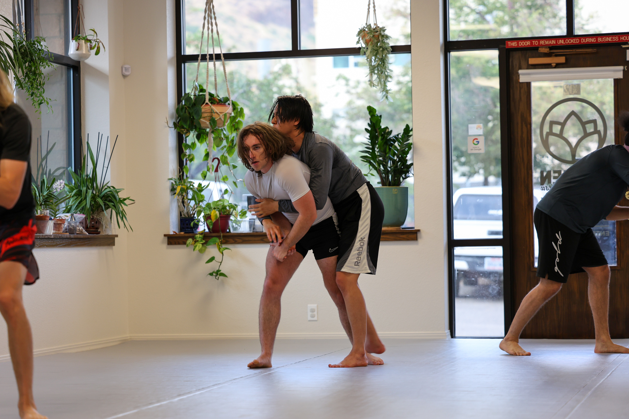 Two members training standup grappling in front of plant-lined windows at Golden Jiu Jitsu