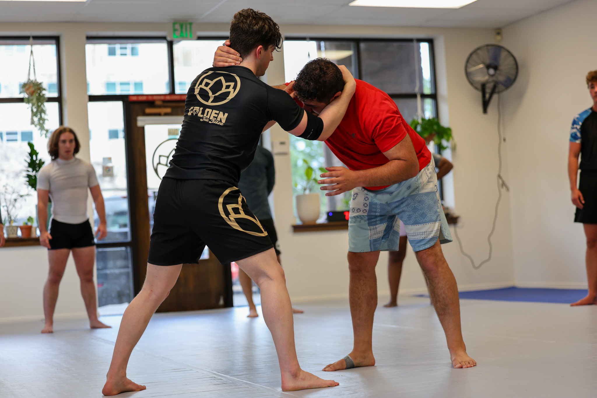 Members drilling standup grappling while classmates watch at Golden Jiu Jitsu