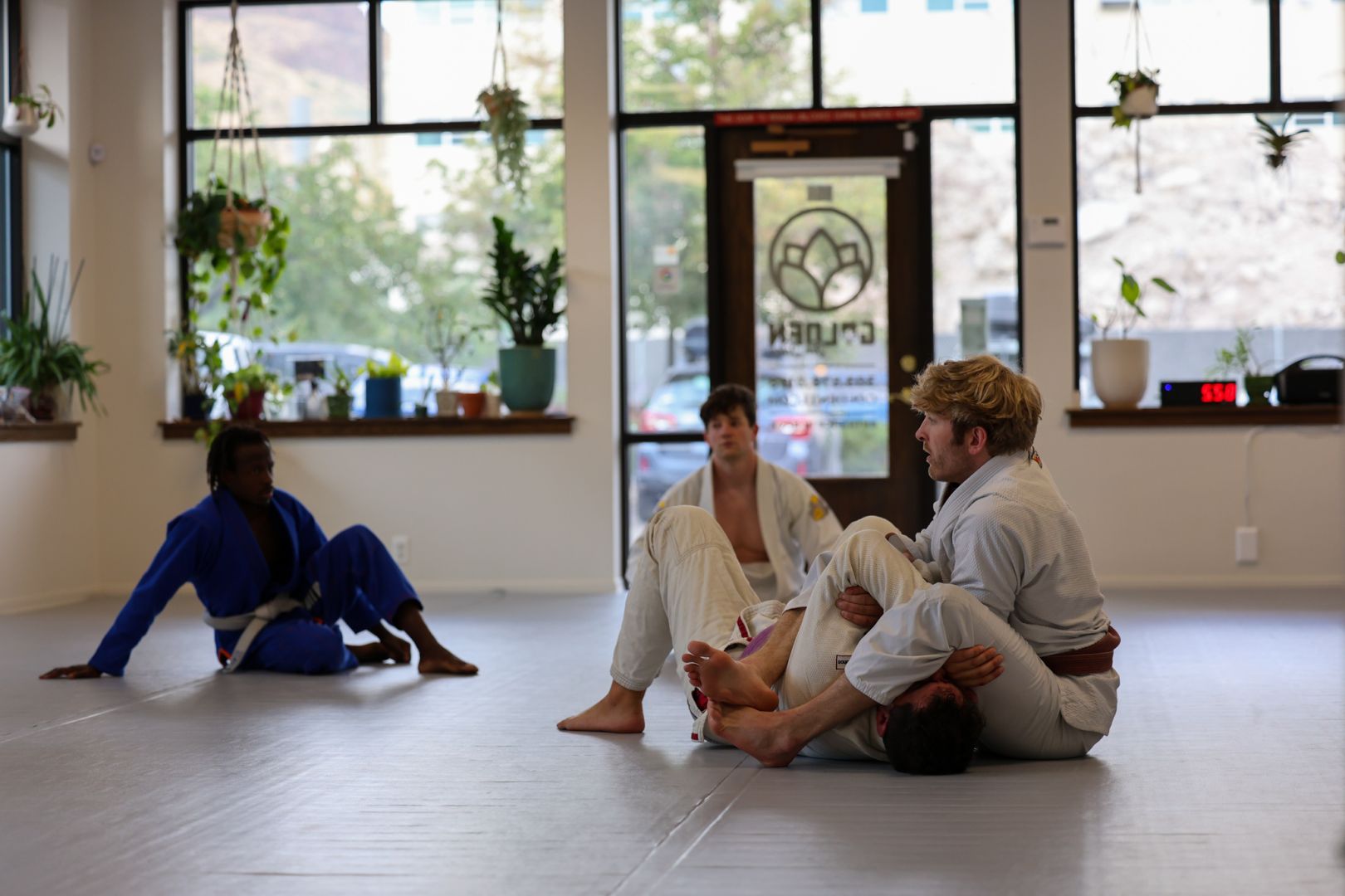 The Golden Jiu Jitsu training space with plant-lined windows and natural light