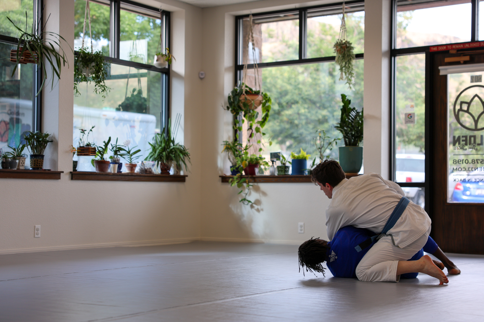 Members training gi beneath the plant-lined windows at Golden Jiu Jitsu