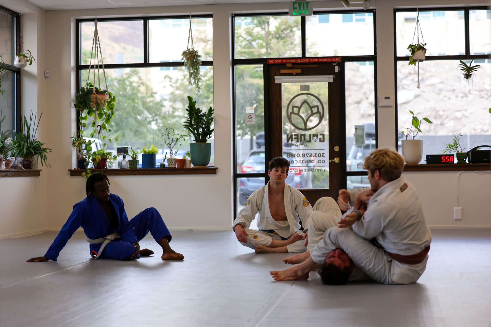 Interior of Golden Jiu Jitsu gym with plants and natural light
